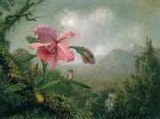 Martin Johnson Heade Orchid and Hummingbird near a Mountain Waterfall oil painting reproduction